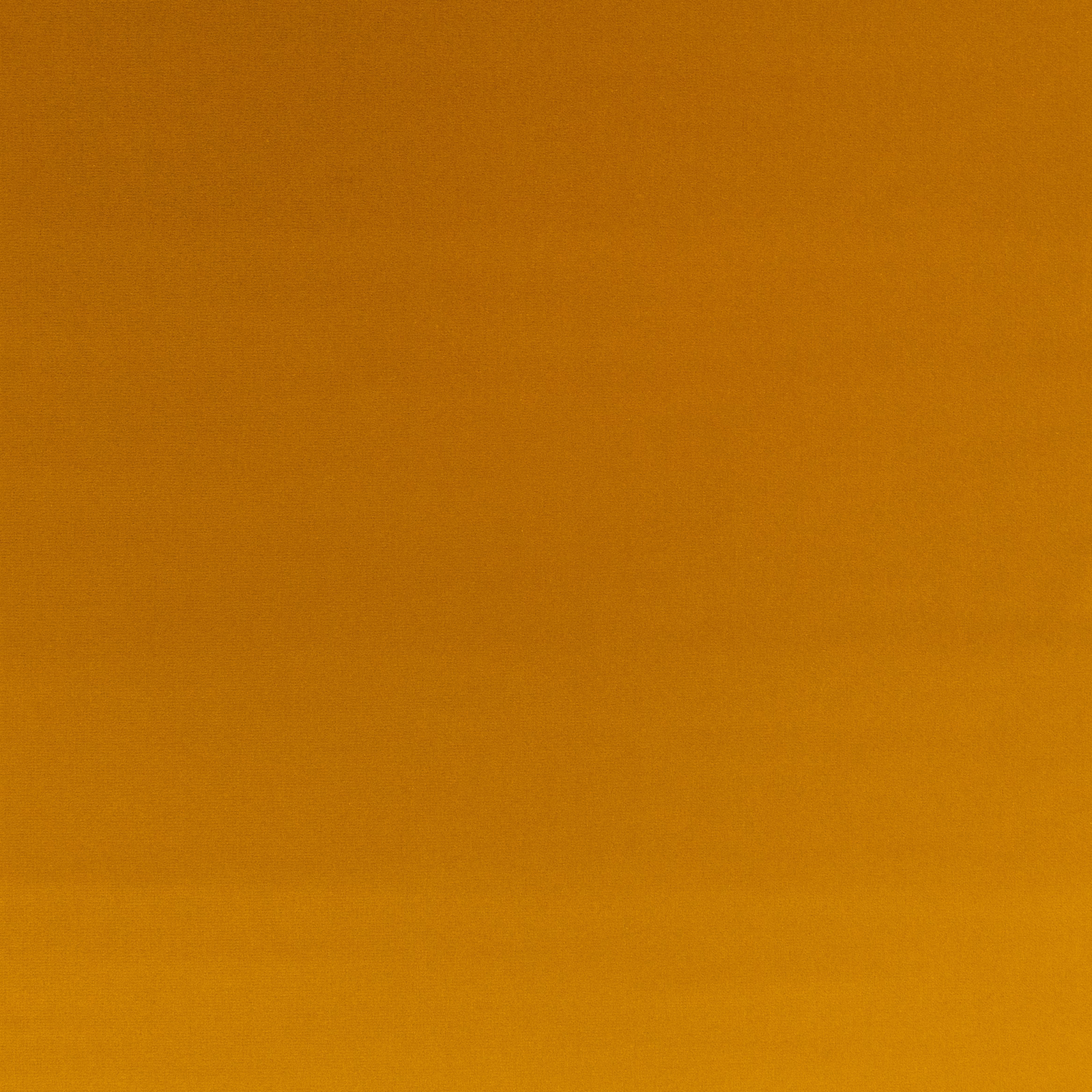 Close-up of smooth nectar-orange velvet with subtle amber shifts across the pile