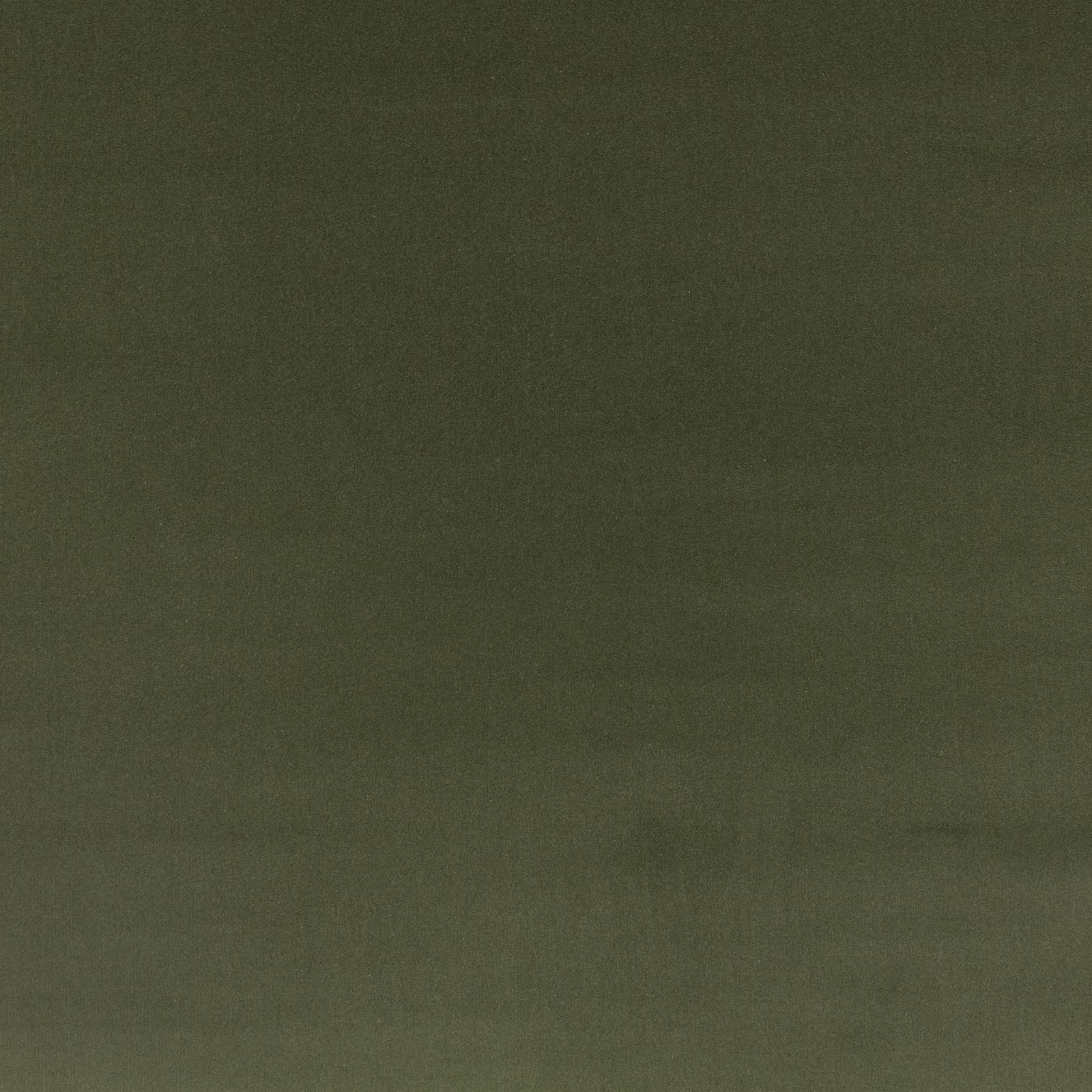 Deep oakmoss olive velvet with a softly shifting directional pile