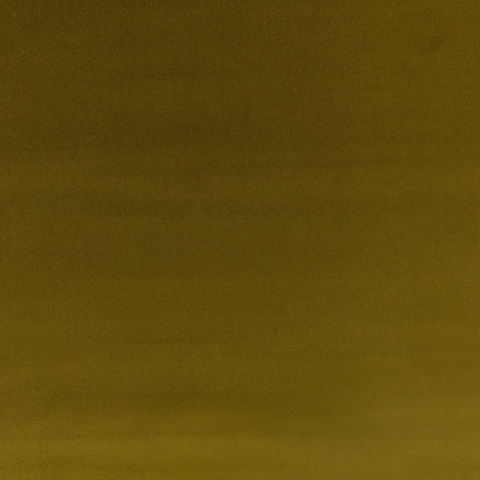 Deep olive-gold plain velvet with a subtle directional nap and low sheen