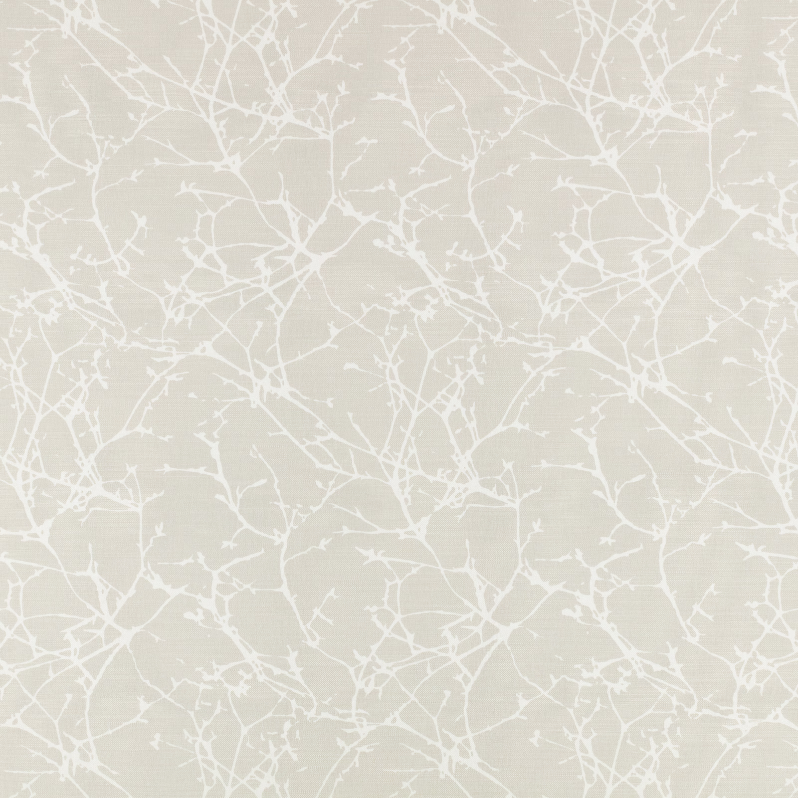 Pale shell-beige Toulin fabric with fine white branching tracery and subtle woven texture