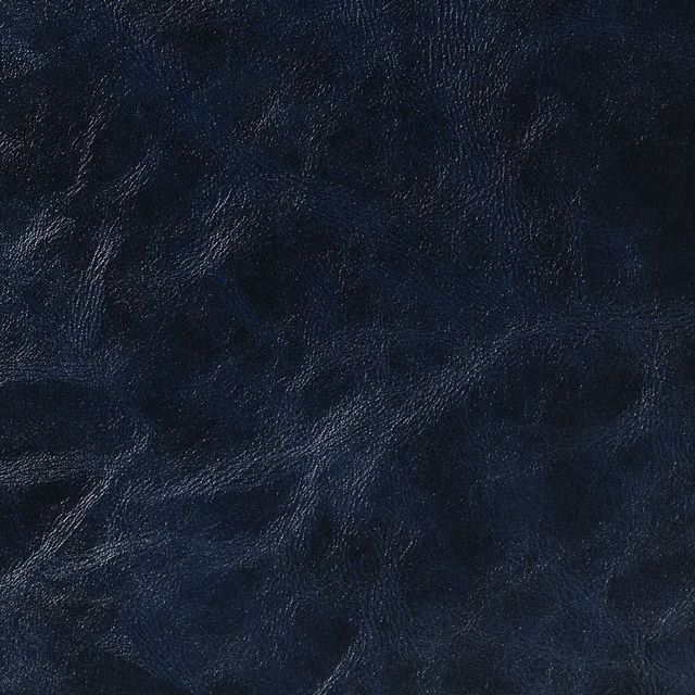Canyon Argosy fabric