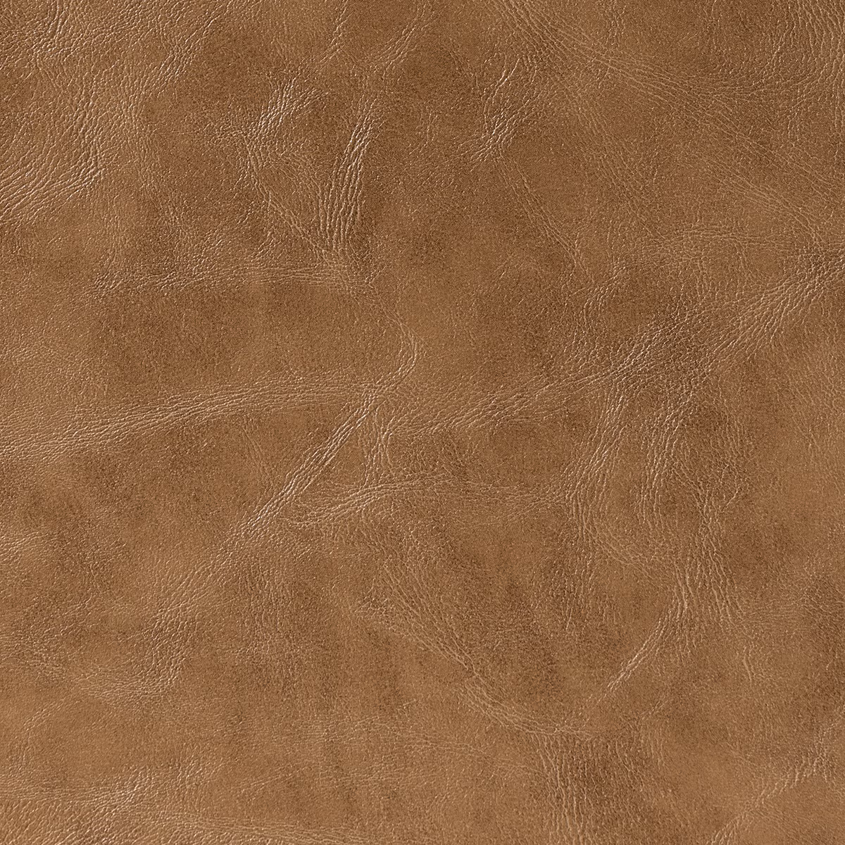 Canyon Gazelle fabric