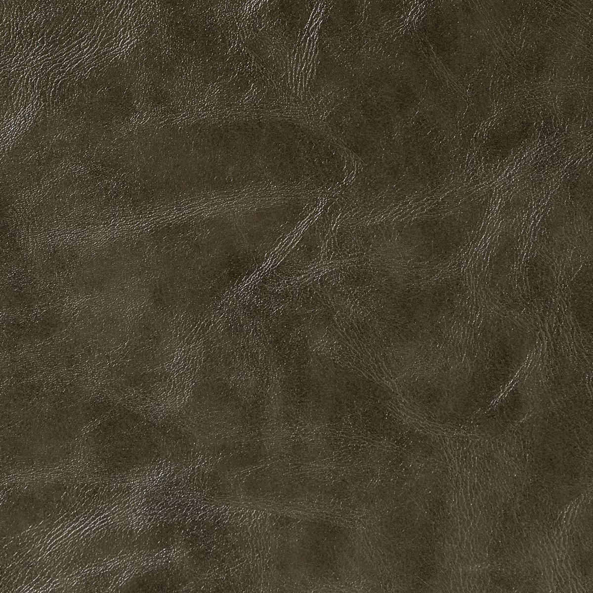Canyon Lord fabric