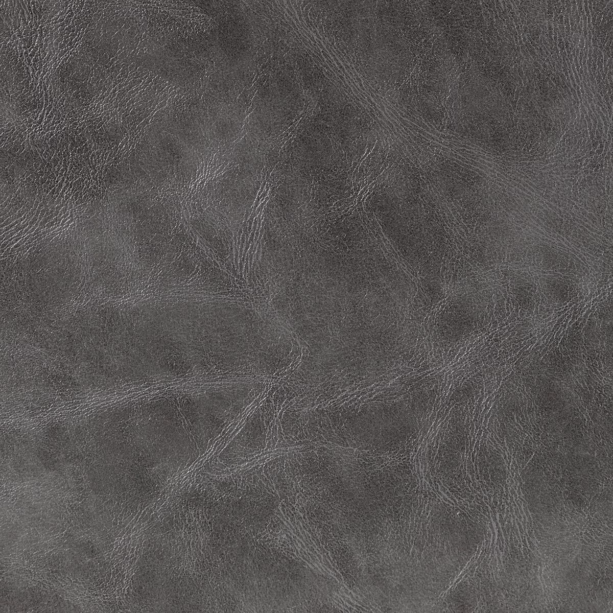 Canyon Trek fabric