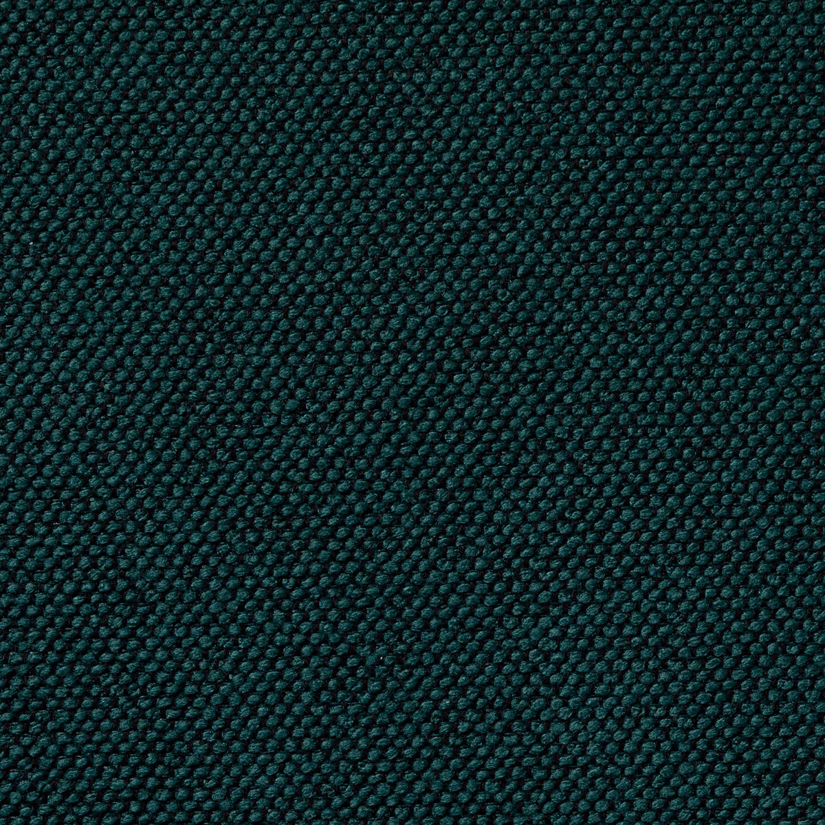 Carson Astronaut fabric
