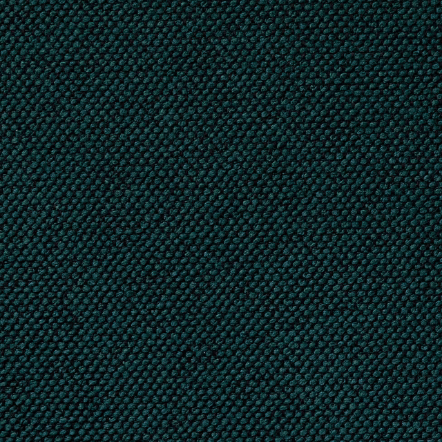 Carson Astronaut fabric