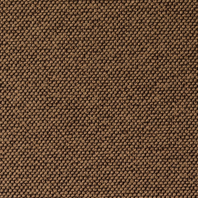 Carson Beagle fabric