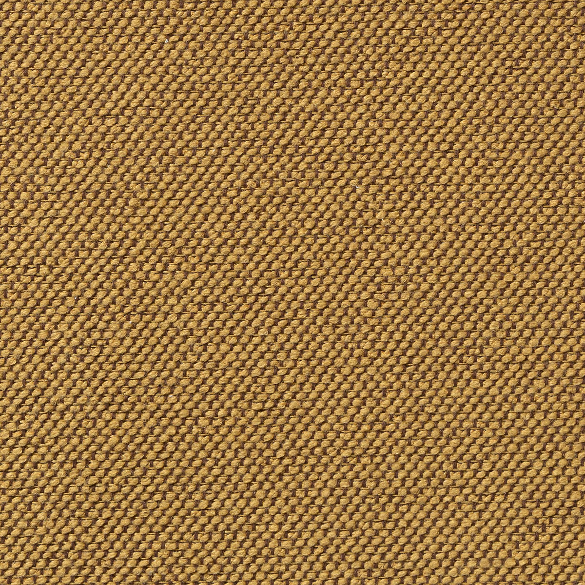 Carson Cairo fabric