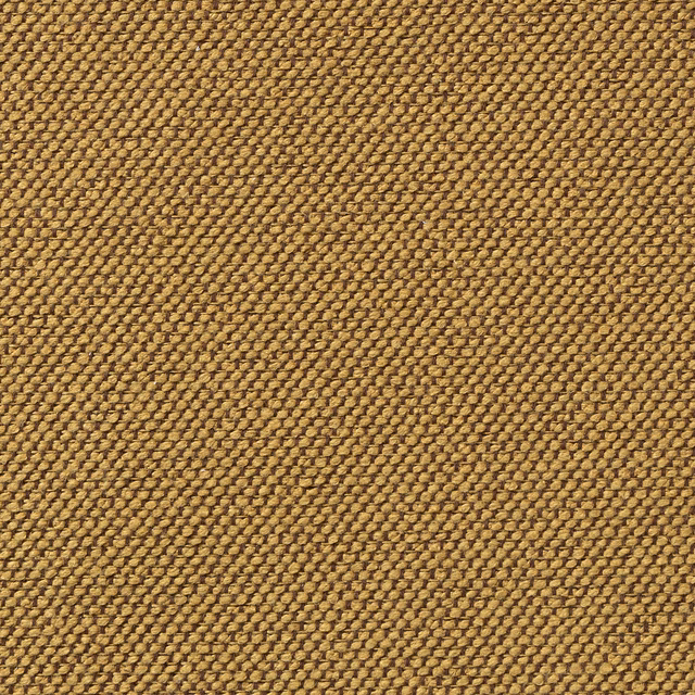 Carson Cairo fabric