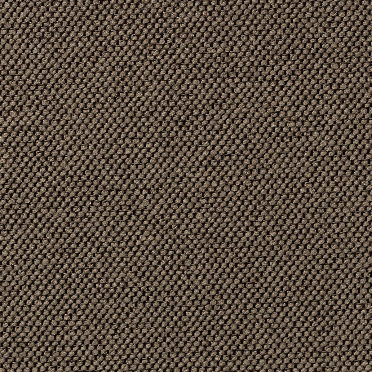 Carson Dax fabric