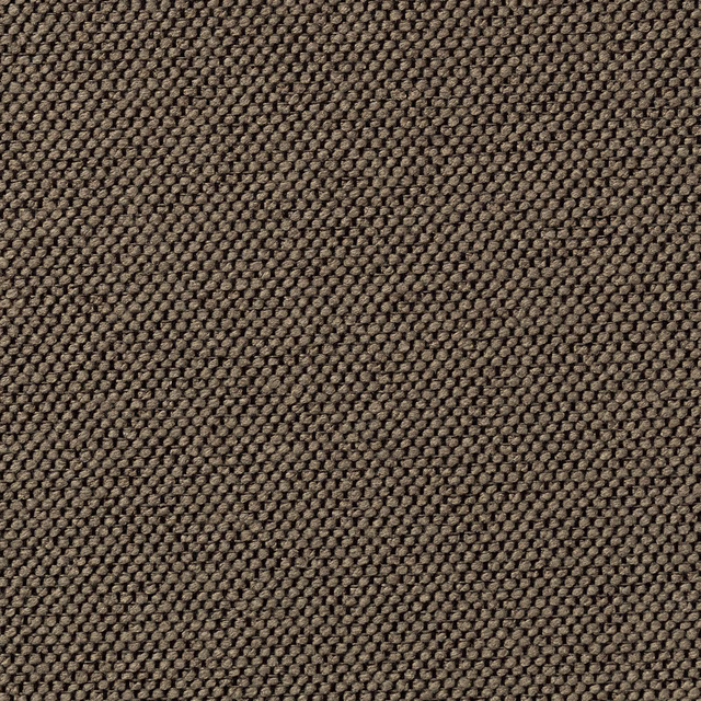 Carson Dax fabric