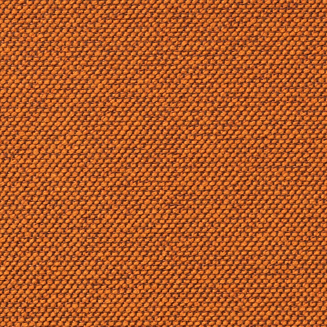 Carson Dutch fabric