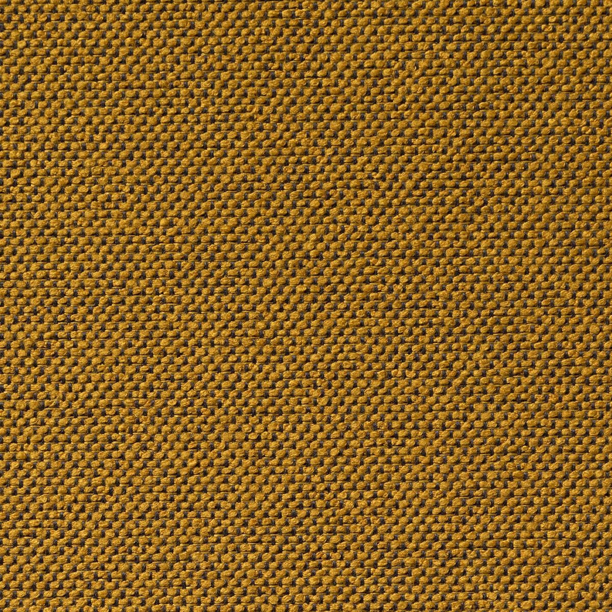 Carson Leo fabric