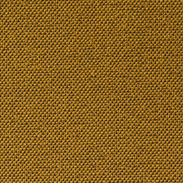 Carson Leo fabric