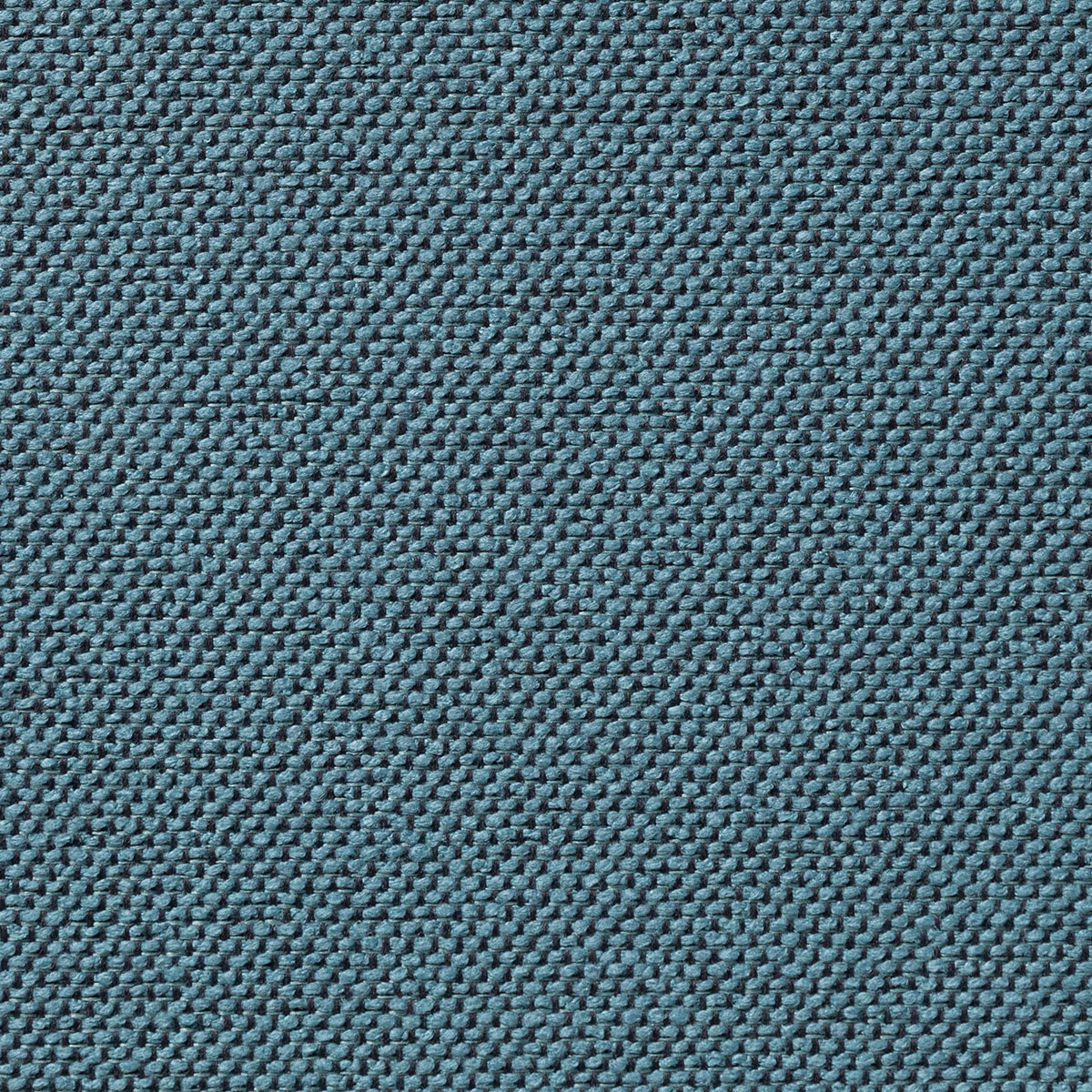 Carson Naples fabric