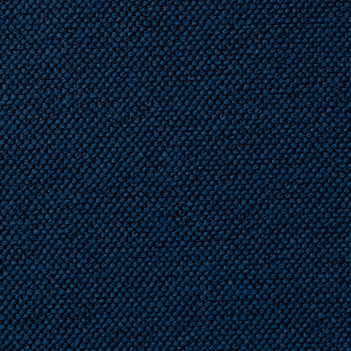 Carson Peroni fabric