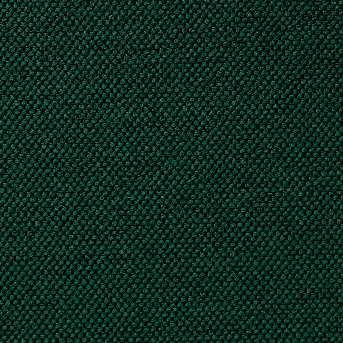 Carson Reed fabric