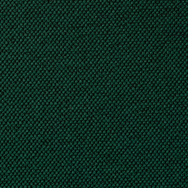 Carson Reed fabric