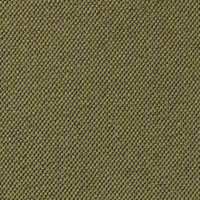 Carson Seaweed fabric