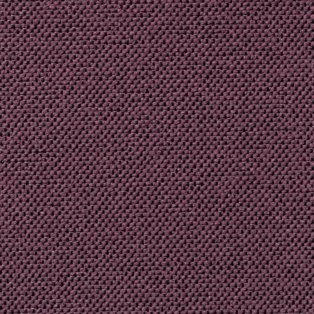 Carson Tiara fabric