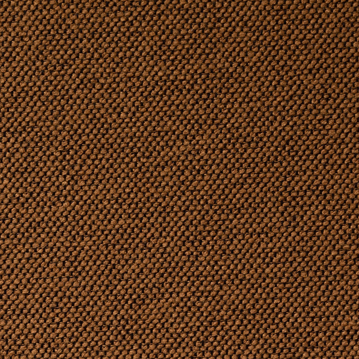 Carson Trellis fabric
