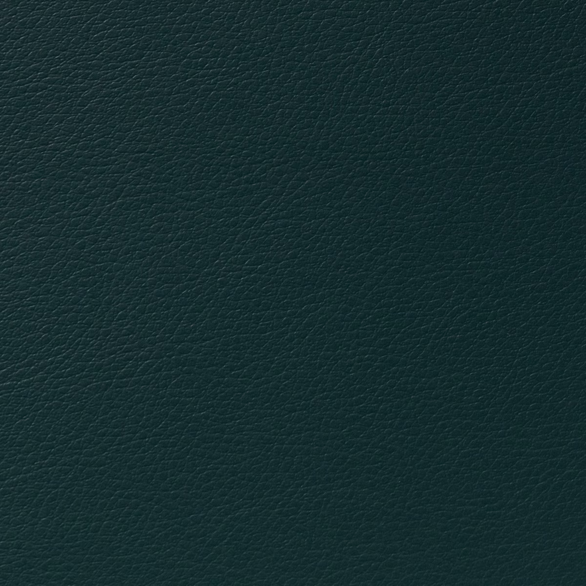 Cordoba Chard fabric