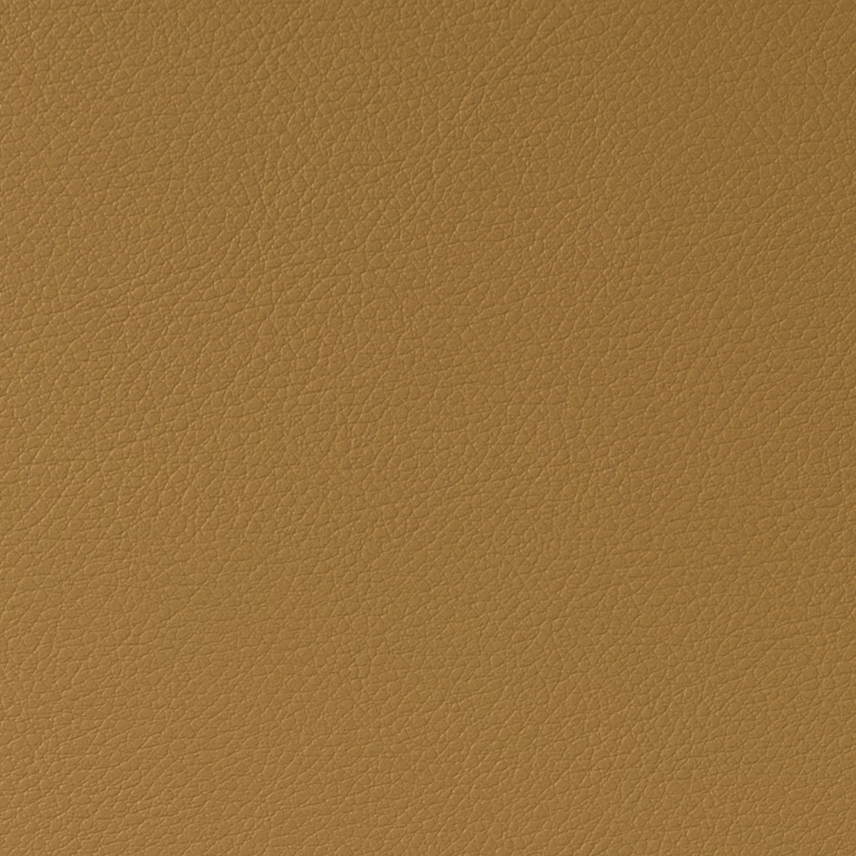 Cordoba Corgi fabric