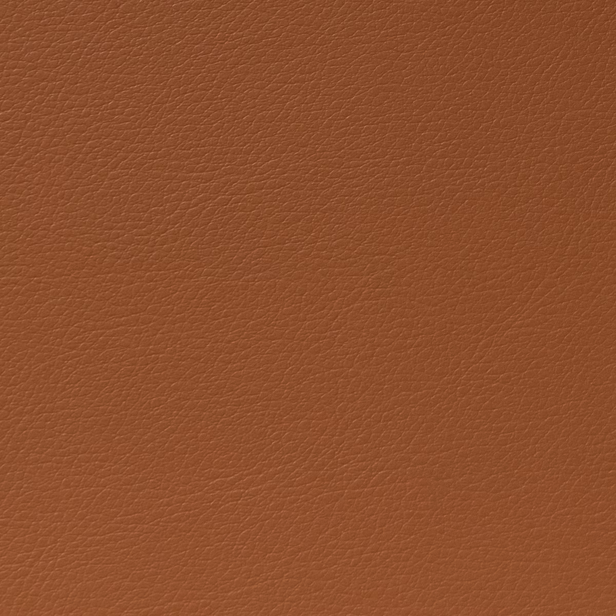 Cordoba Leash fabric
