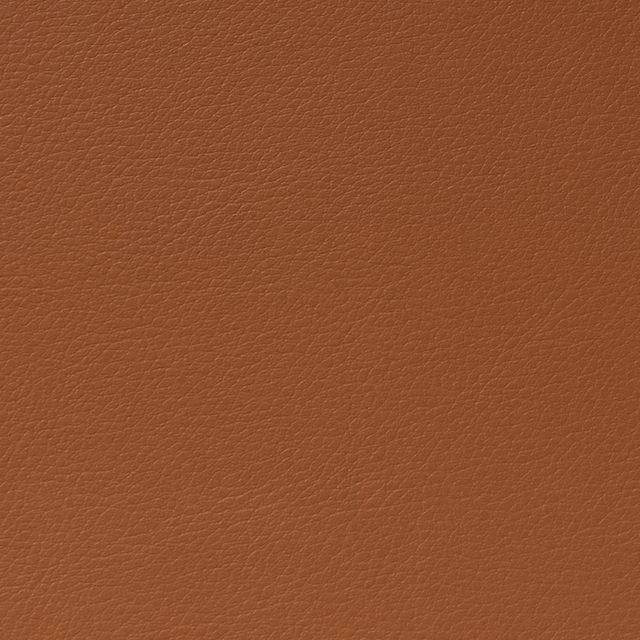 Cordoba Leash fabric