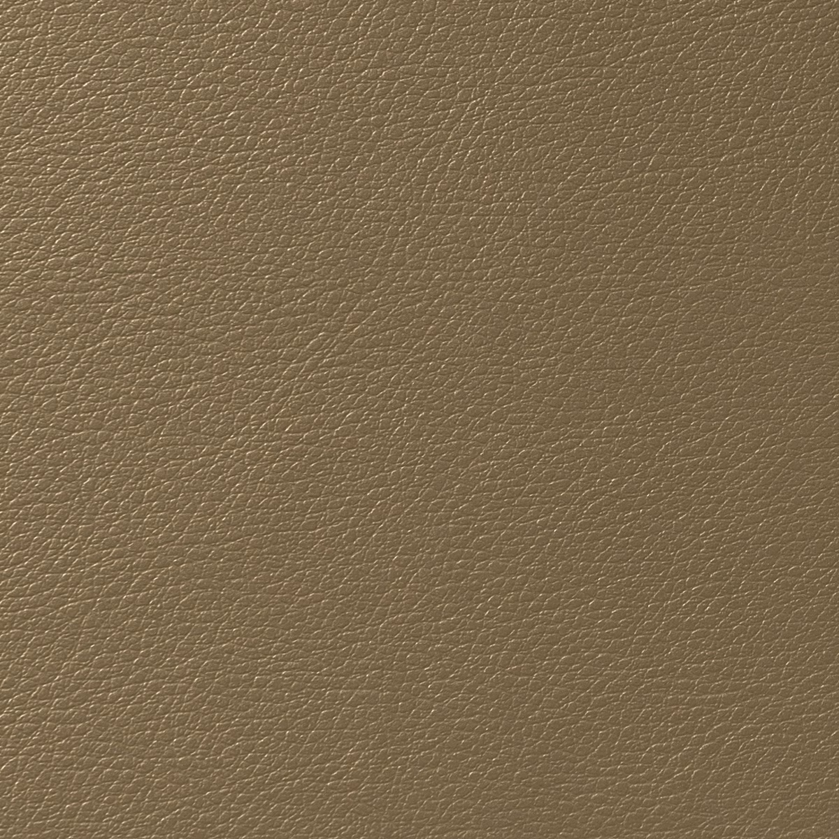 Cordoba Muscat fabric