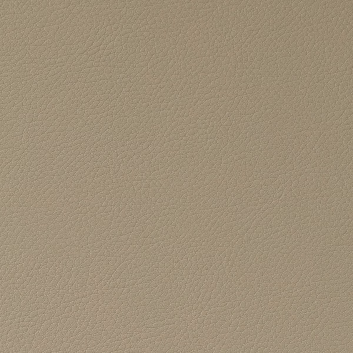 Cordoba Putty fabric