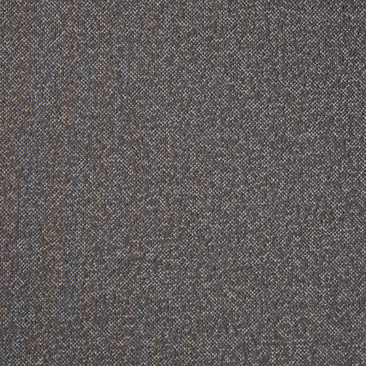 Bermuda Flynn fabric