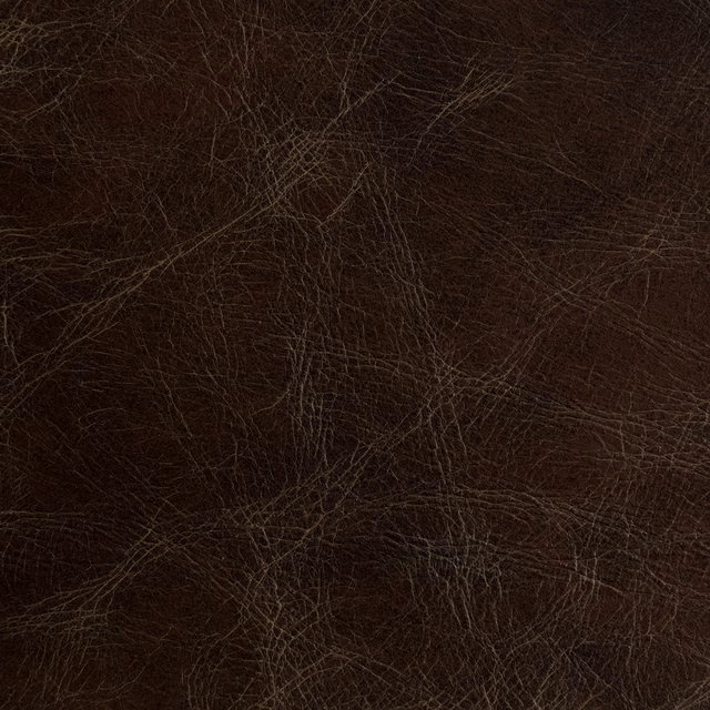 Cassidy Bravo fabric