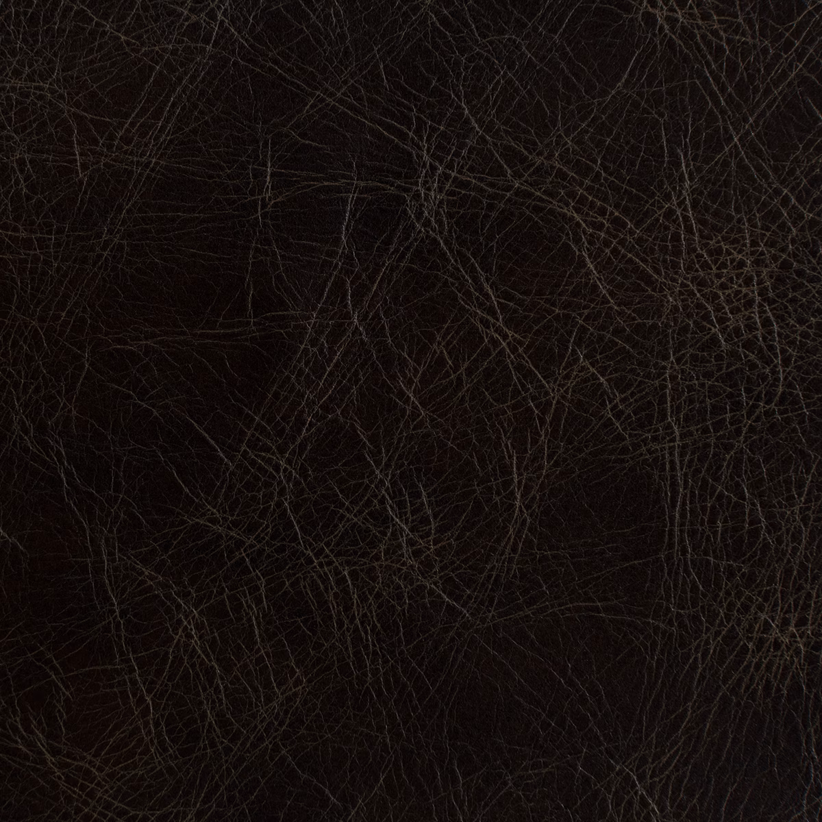 Cassidy Stagecoach fabric