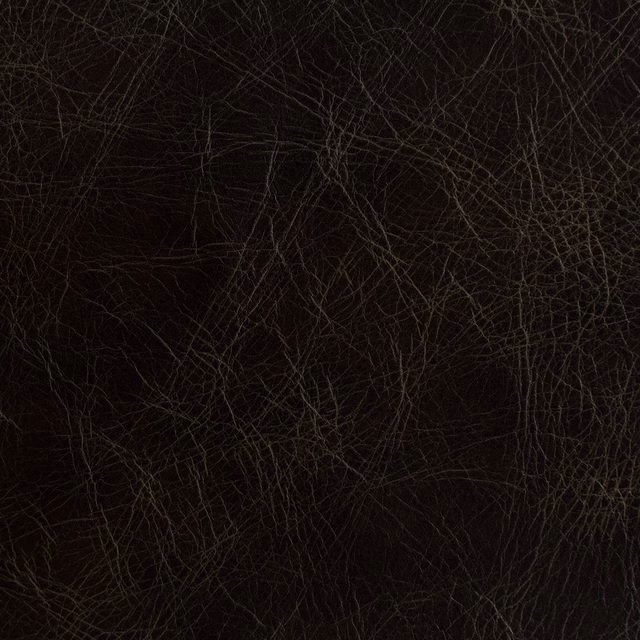 Cassidy Stagecoach fabric