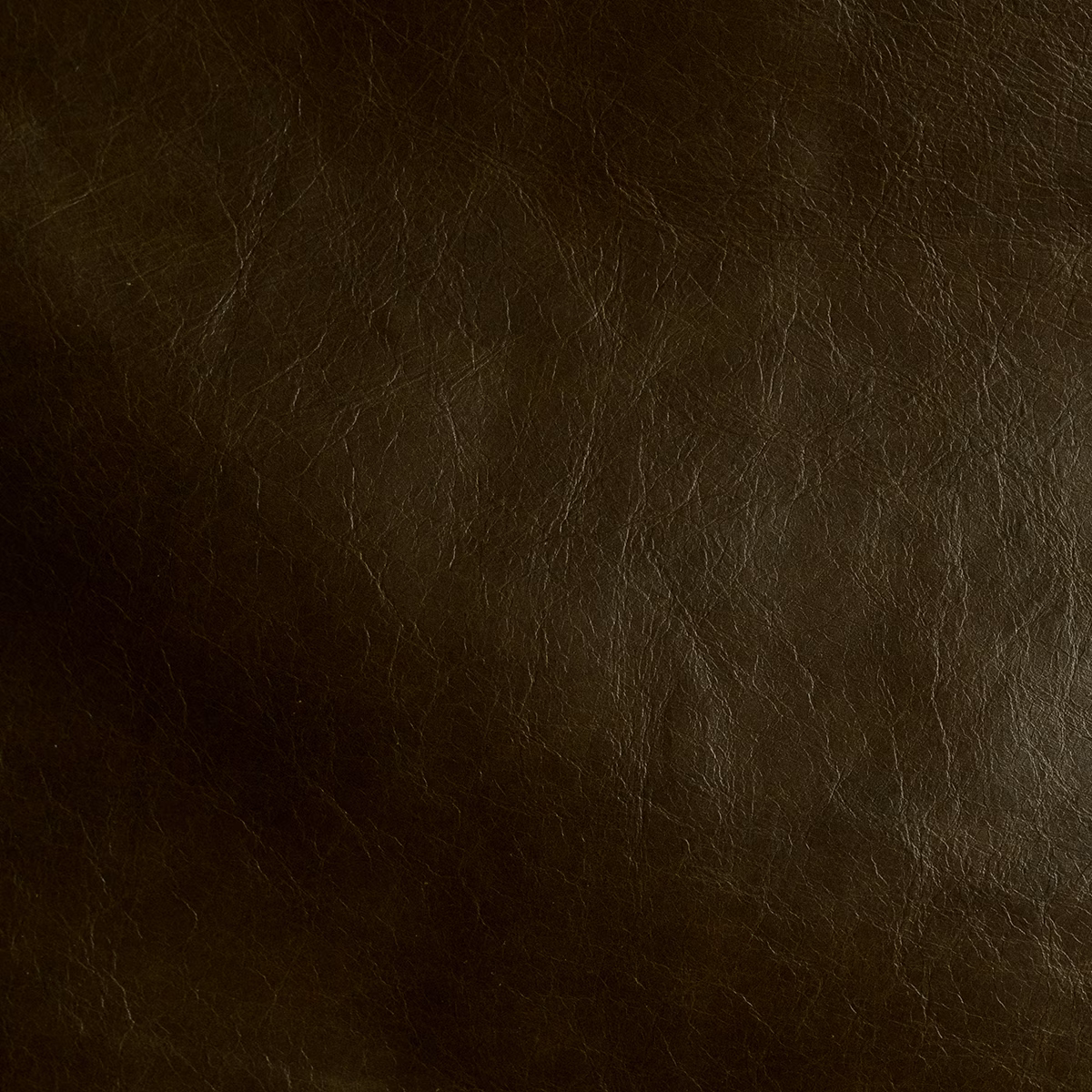 Heritage Anaconda fabric