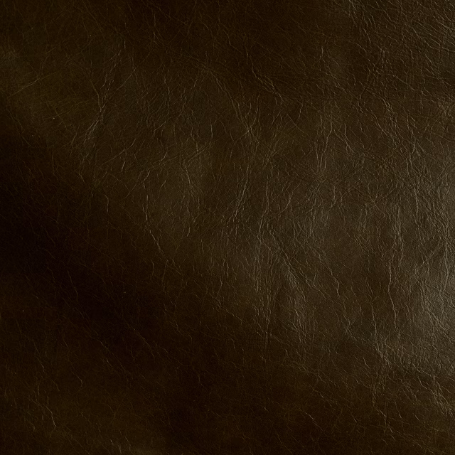 Heritage Anaconda fabric