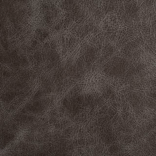 Outlaw Country fabric