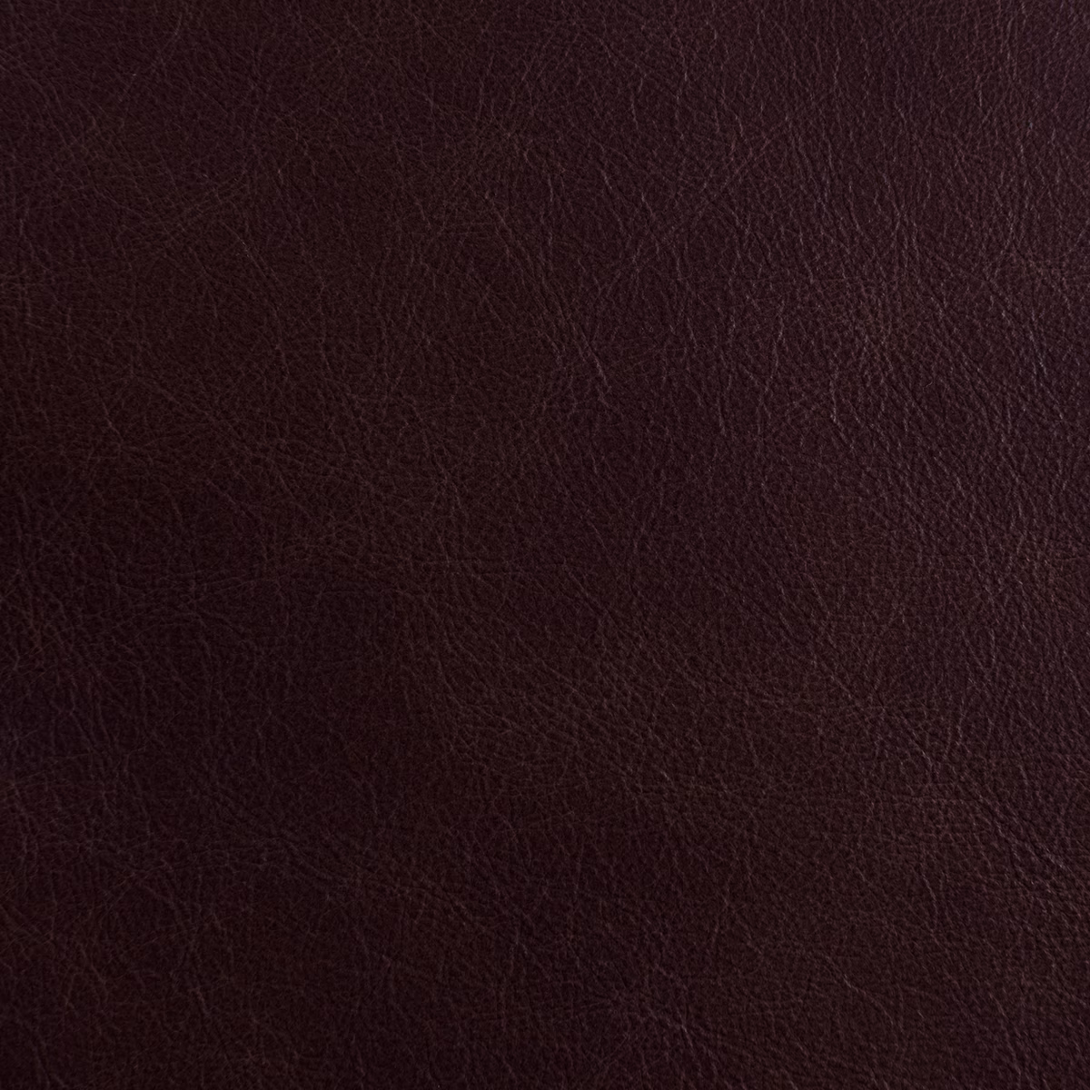 Outlaw Roosevelt fabric