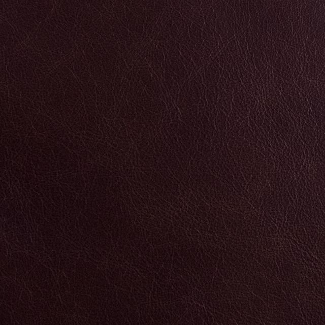 Outlaw Roosevelt fabric