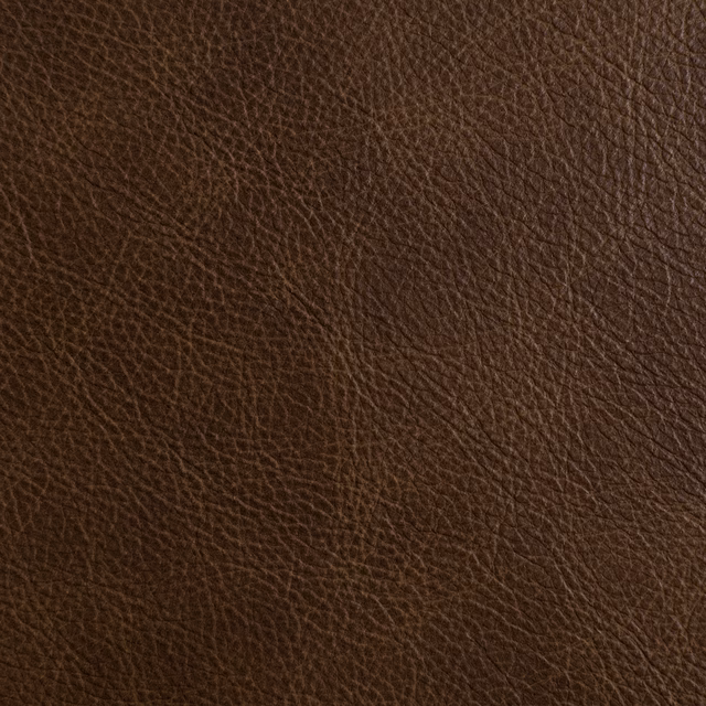 Outlaw Winchester fabric