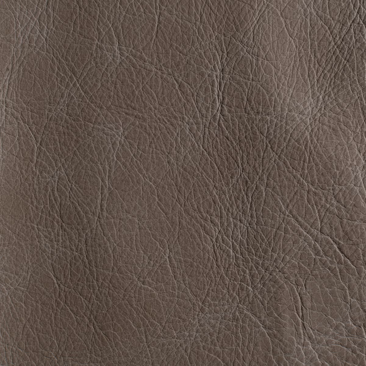Unique Kansas fabric