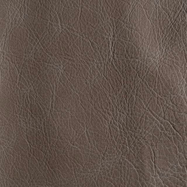 Unique Kansas fabric