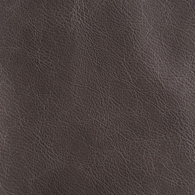 Unique Nomad fabric