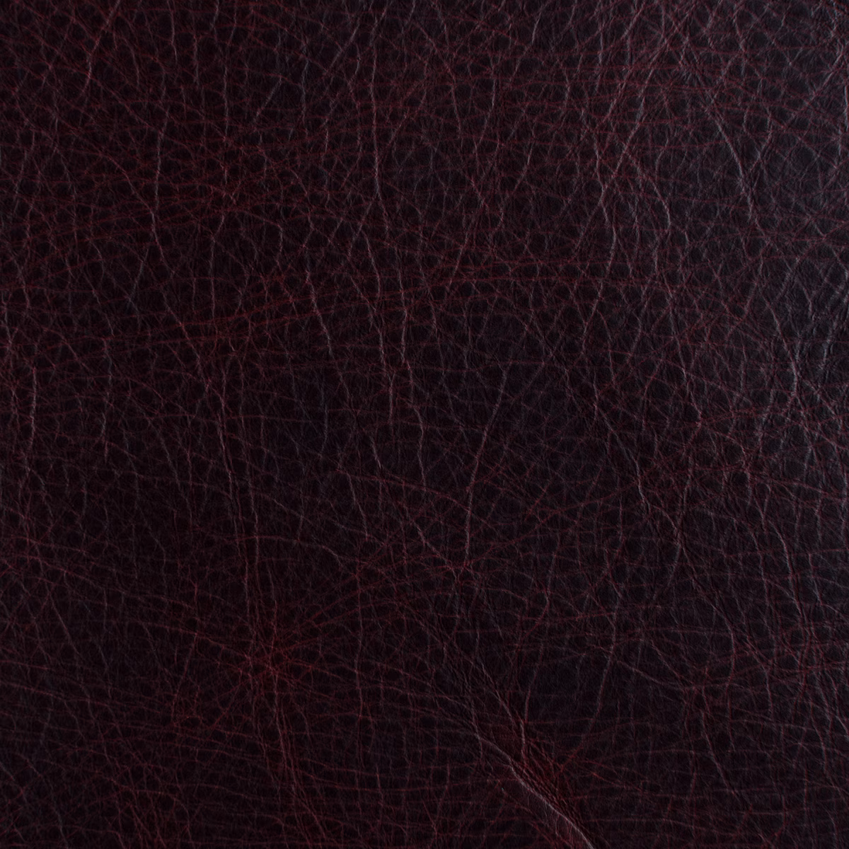 Unique Pompeii fabric