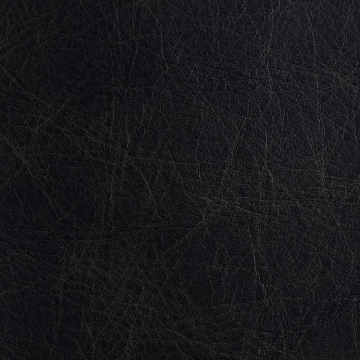 Unique Turtle fabric