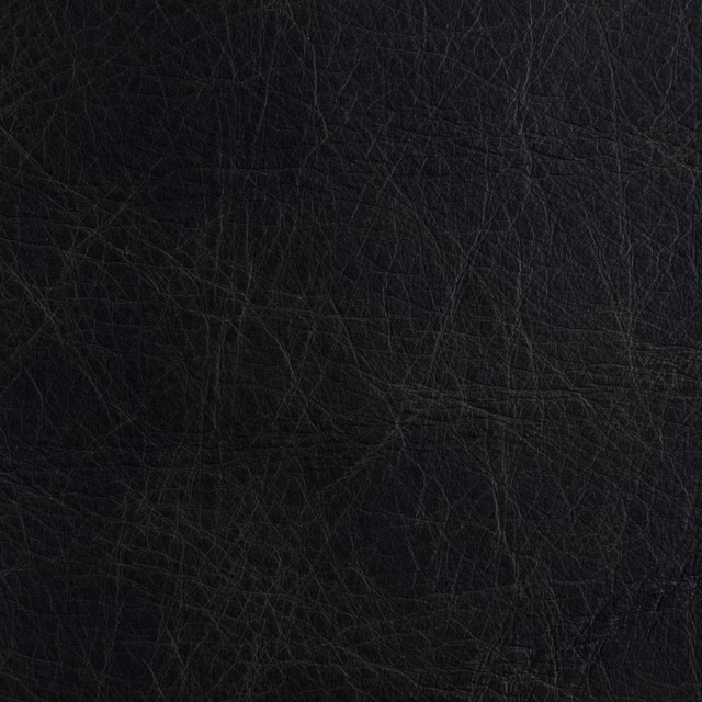 Unique Turtle fabric