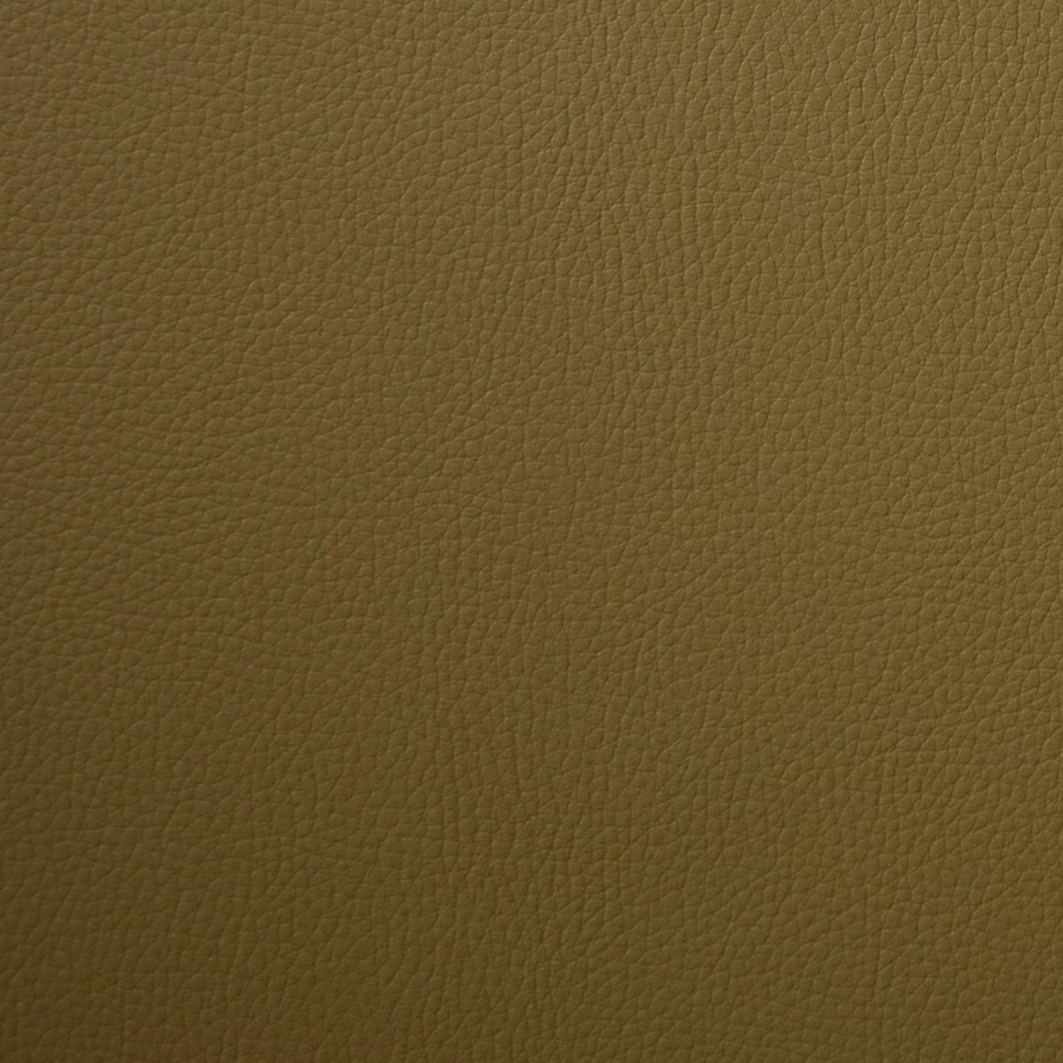 Kielder Aloe fabric