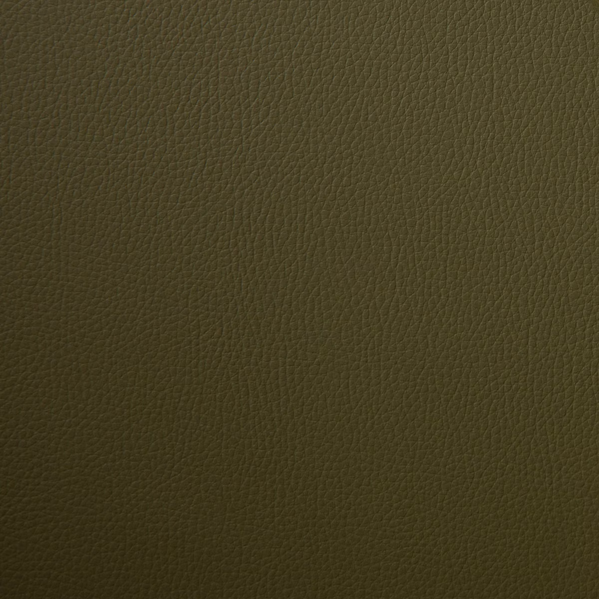 Kielder Fennel fabric