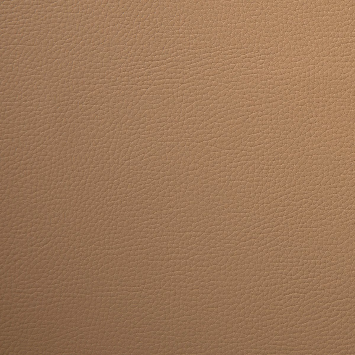 Kielder Sarabi fabric